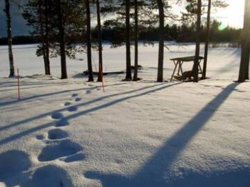 Фото номера Дом для отпуска Дома для отпуска Holiday Home Vipuniementie 121- apart- 1 г. Varpaisjärvi 55
